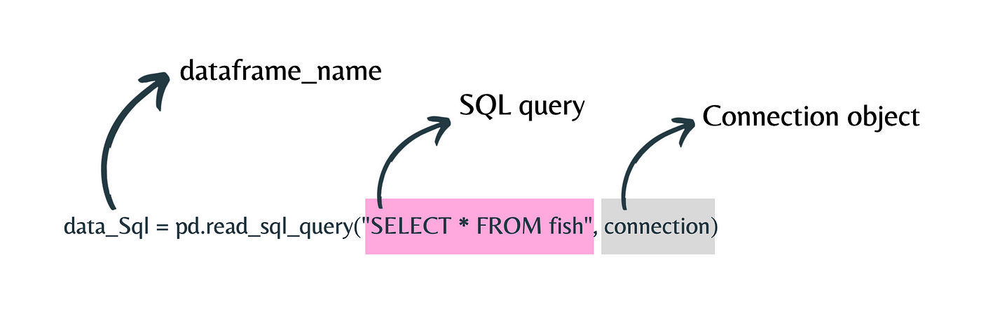 Output obtained from read_sql_query() with fish table as Pandas dataframe. Image by the author. Data Ingestion in Python Pandas.