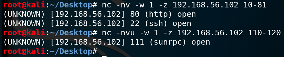 Netcat reverse shell task - homepagemzaer