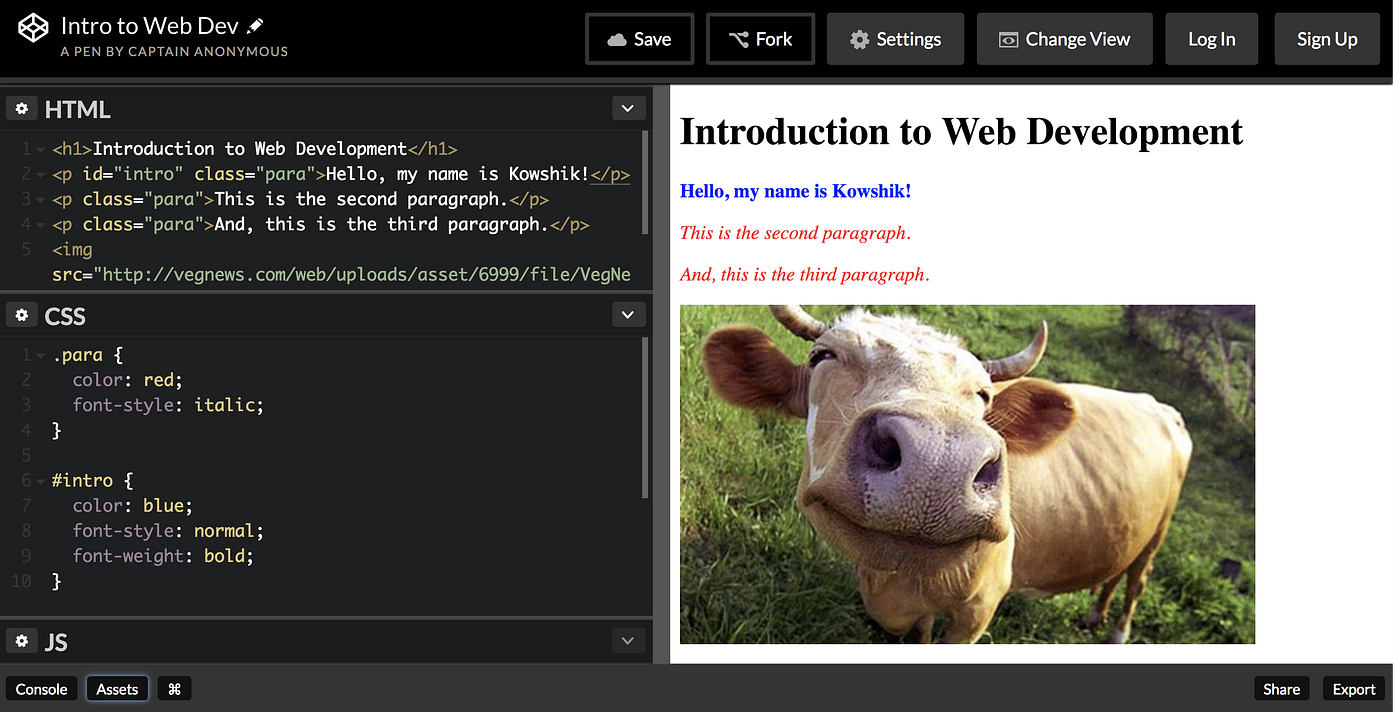 Intro to Web Dev — Frontend. Part one of a beginner’s guide to web ...
