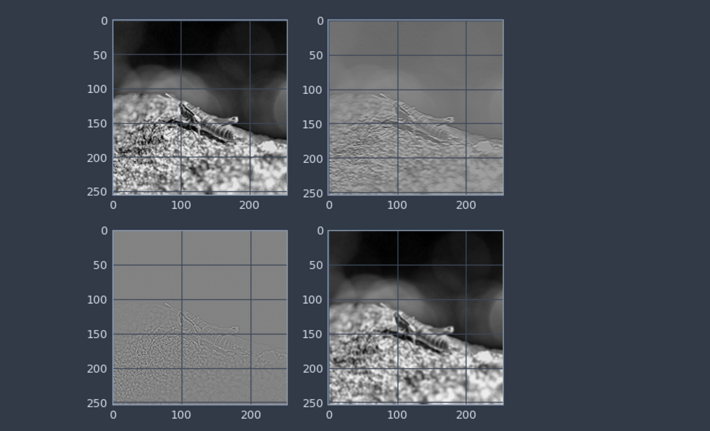 卷積圖層矩陣計算方法 Convolution Using Matrix To Calculation By Seachaos Tree Rocks