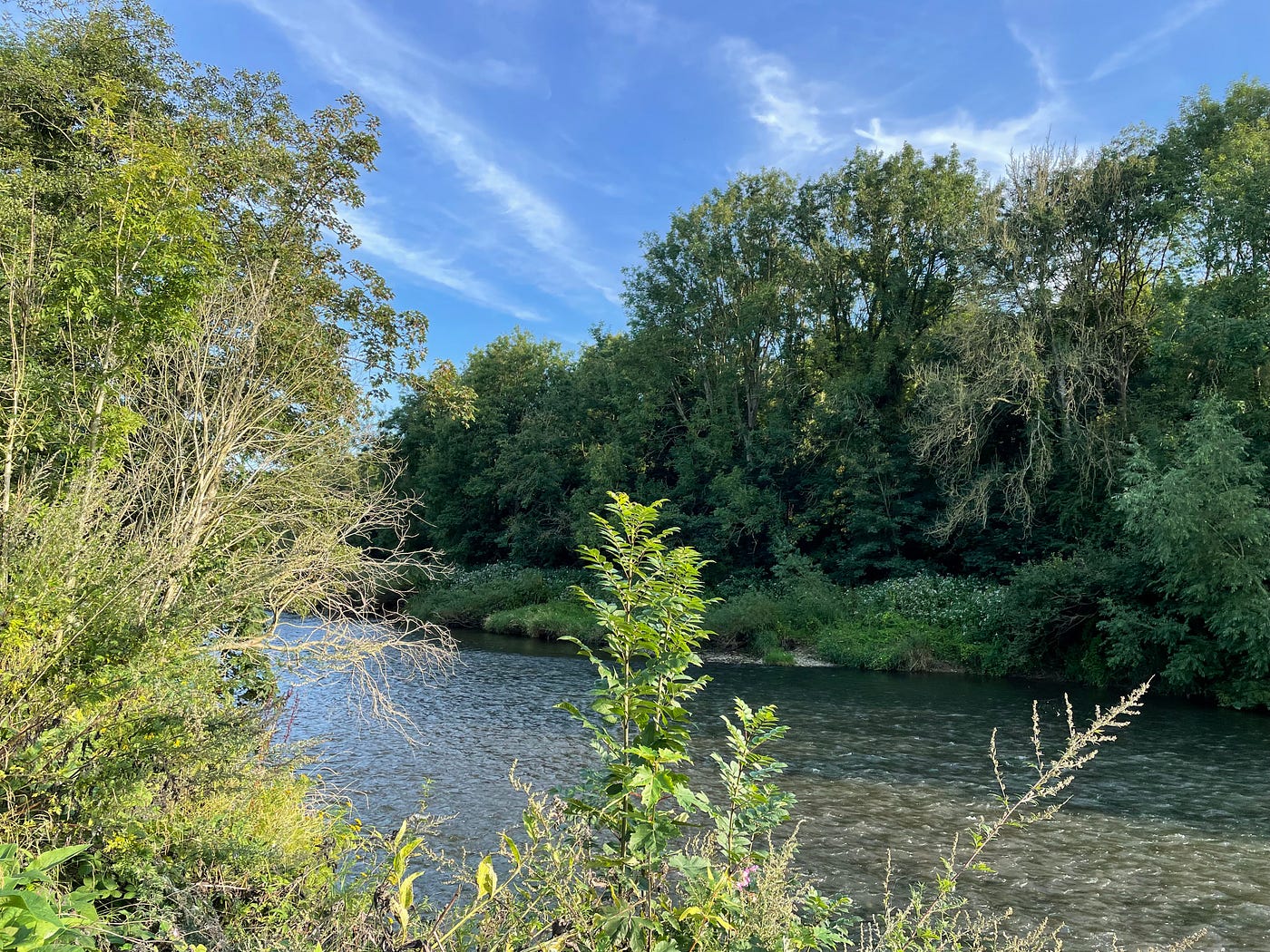 Photograph of the River Severn
