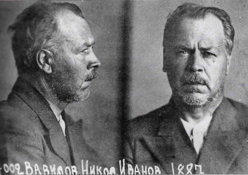 A mugshot of an older Vavilov with several long scars on his cheeks