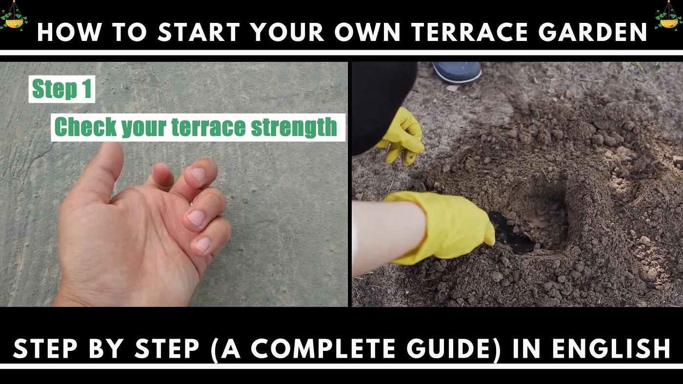 How to start your own terrace garden step by step (a complete guide)