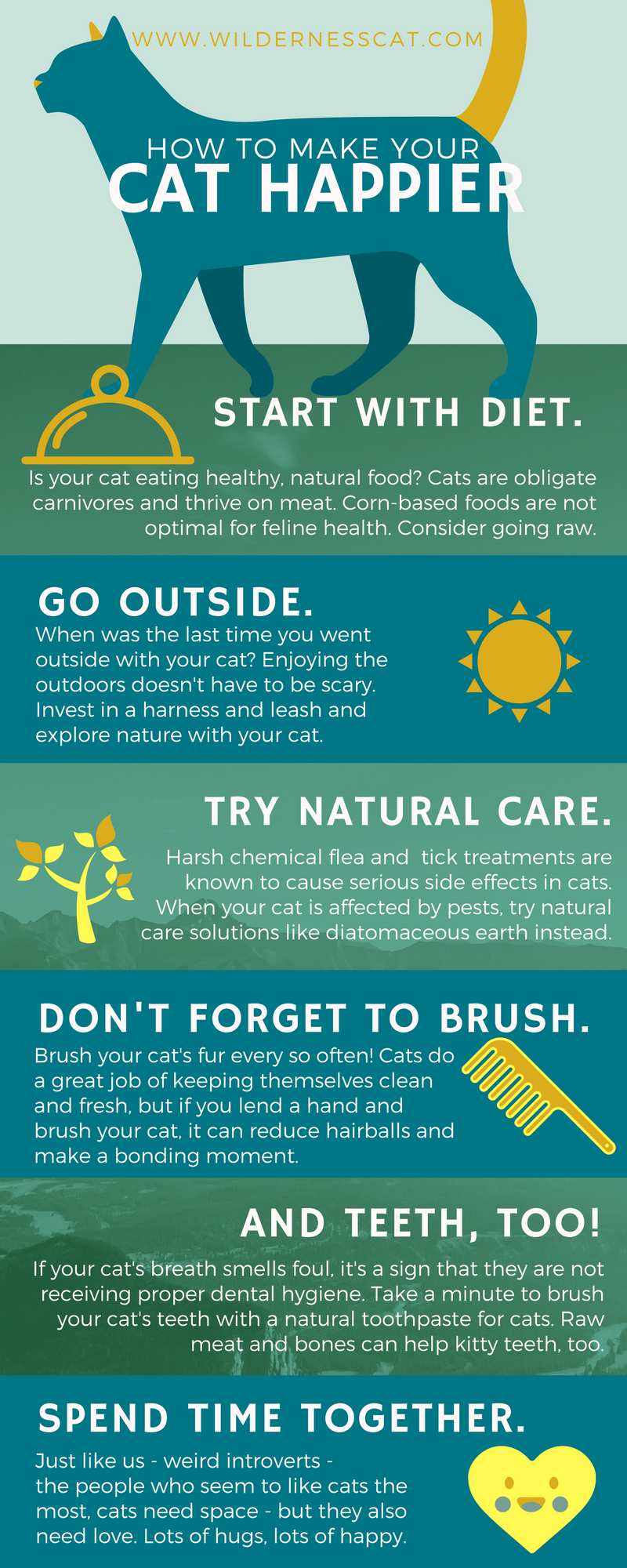 6 Simple Ways to Make Your Cat Happier — Infographic by Wildernesscat Medium