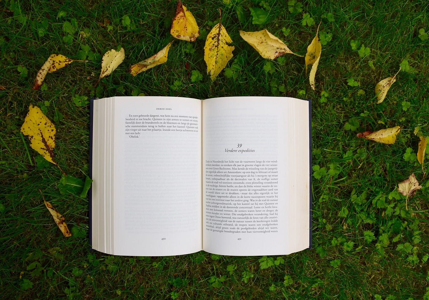 Open book on green background framed by yellow leaves.