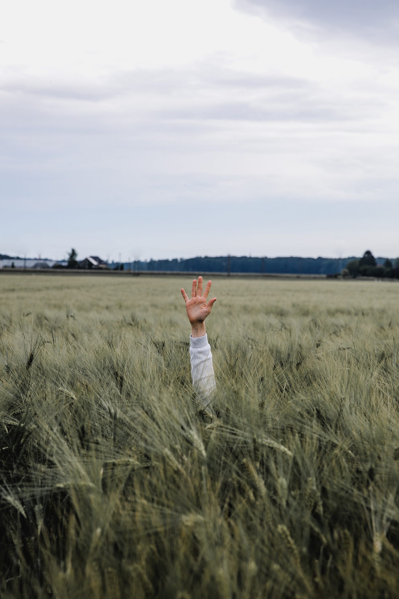 A field of grass with an arm raised out of the grass with fingers in a high five position