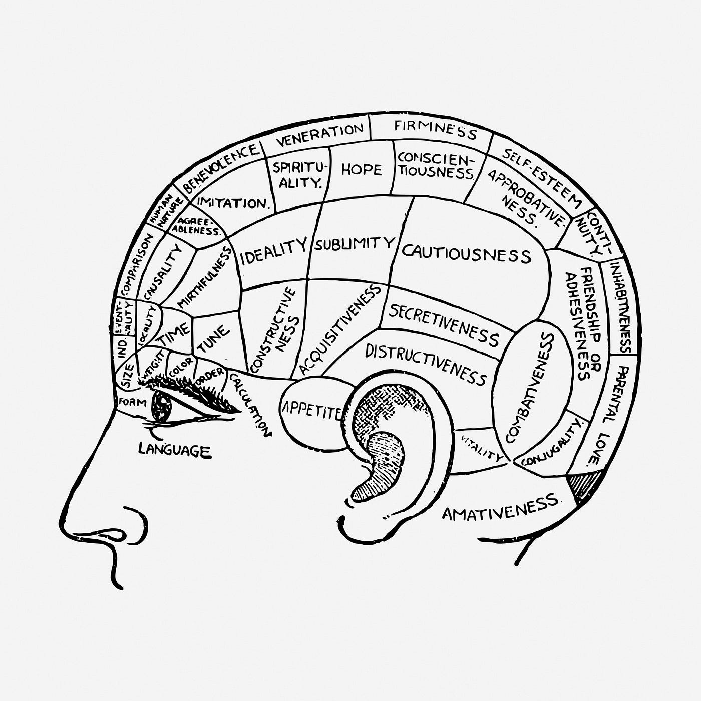 Shades of Gray: Towards a New Way of Categorizing Psychiatric Illness | by  Amitha Kalaichandran | Medium