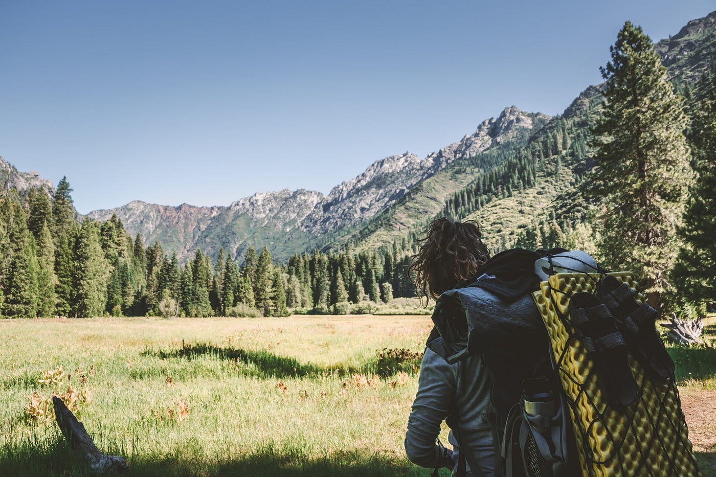 Morris Meadow — A Trip to Remember by Gary Janosz Boomerangs Dec