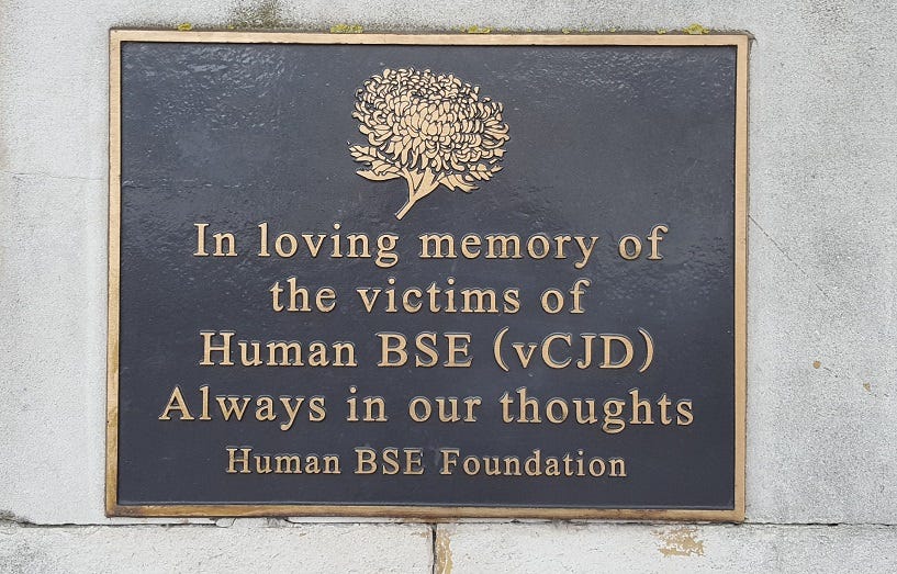 Colour photo of a metal plaque, black with gold text on a white brick wall. The plaque reads: In loving memory of the victims of Human BSE (vCJD). Always in our thoughts. Human BSE Foundation-