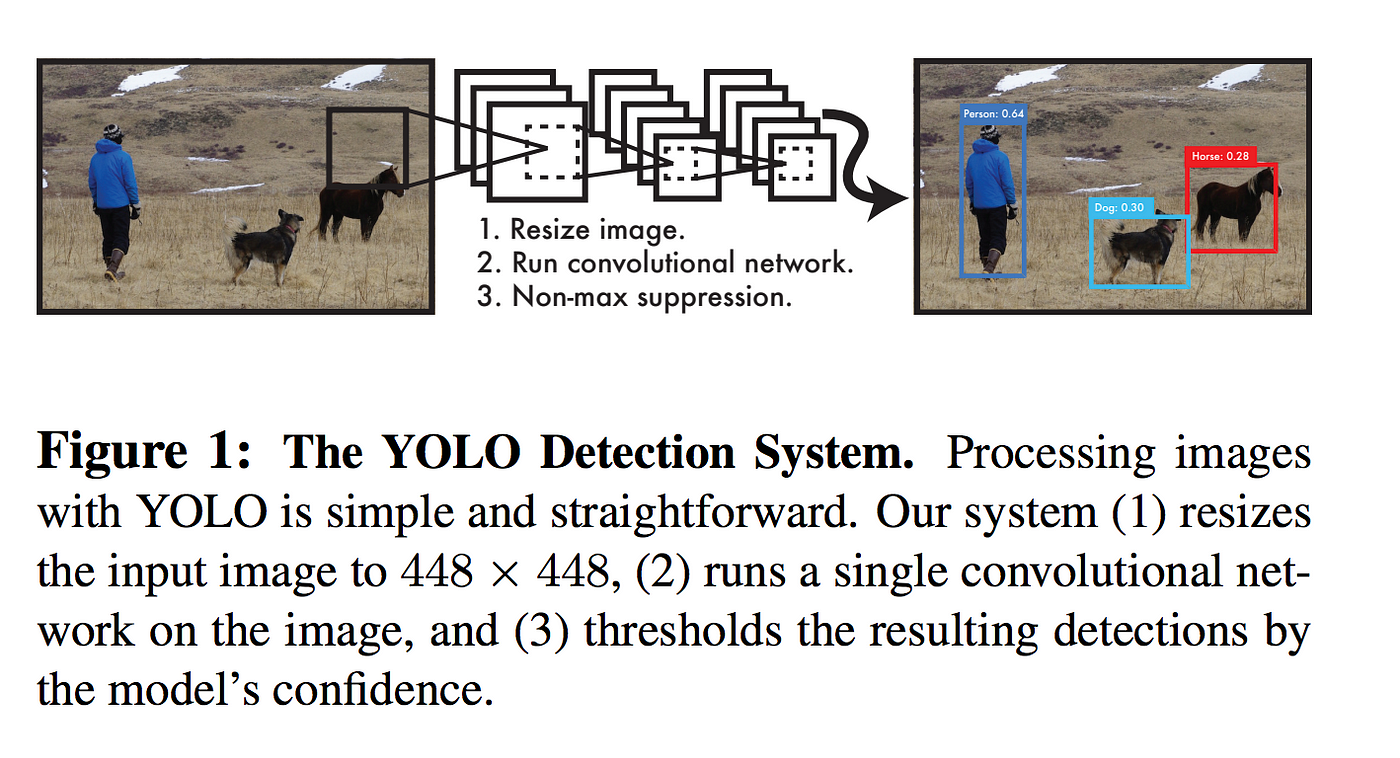 YOLO V1 Architecture. Object detection and classification is… | by ...