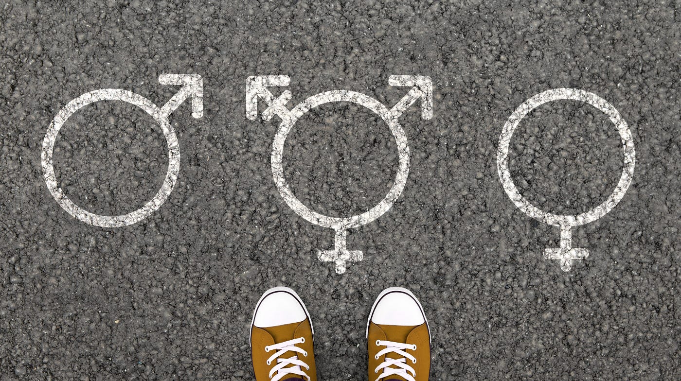 9 Steps To Ftm Or Mtf Transition From A Therapist S Experience By Carol Lennox Prism Pen Medium