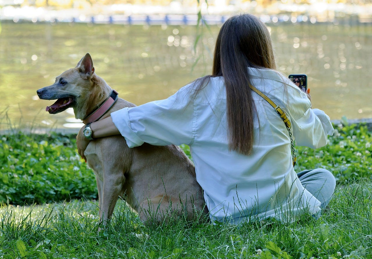 Why Do Dogs Like to Be Petted?. Introduction by Shanon Sandquist