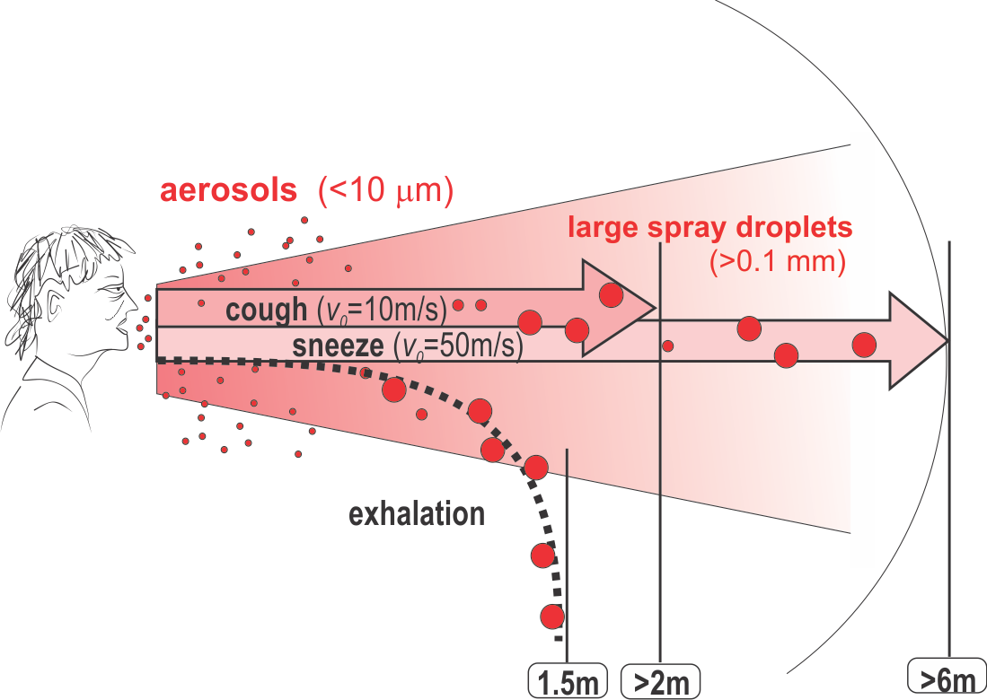 Reichweite von Husten und Niesen