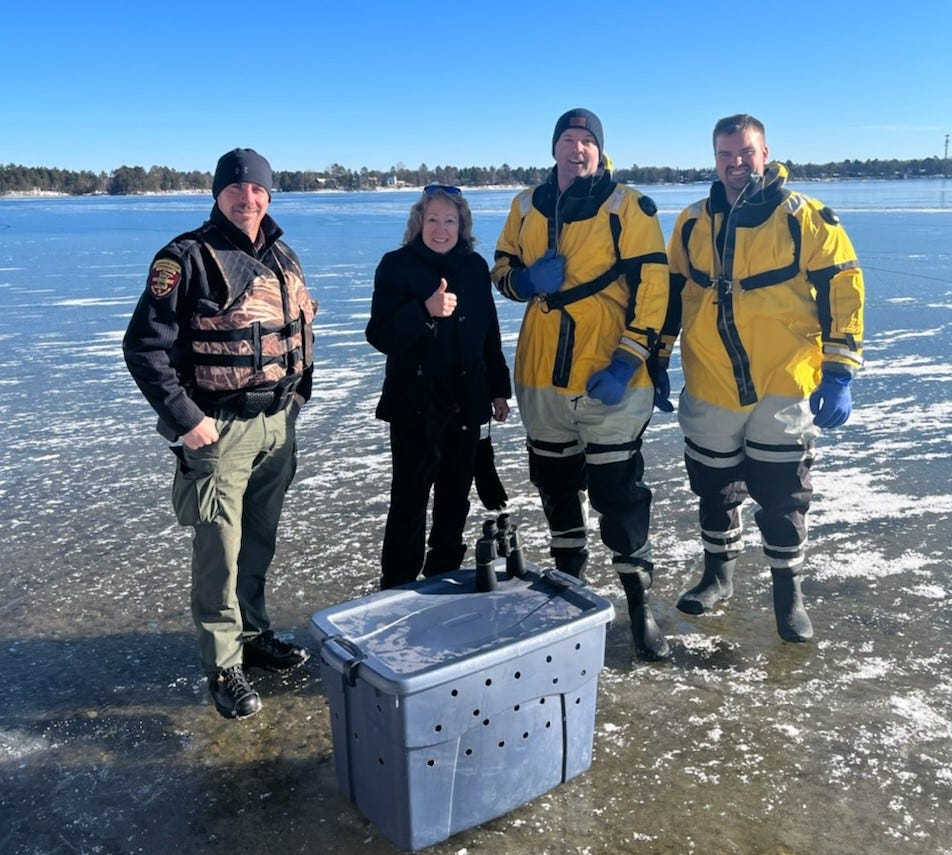 MN DNR conservation officer, NLC volunteer, and two firefighters in survival suits stand along the icy shore of the lake behind the gray container holding the rescued loon.