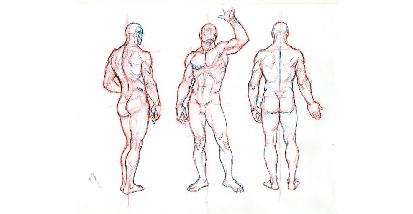 Beginner´s Guide; Importance of Proper Body Proportions and How to Get Them  Right | by Scriba Stylus | Medium