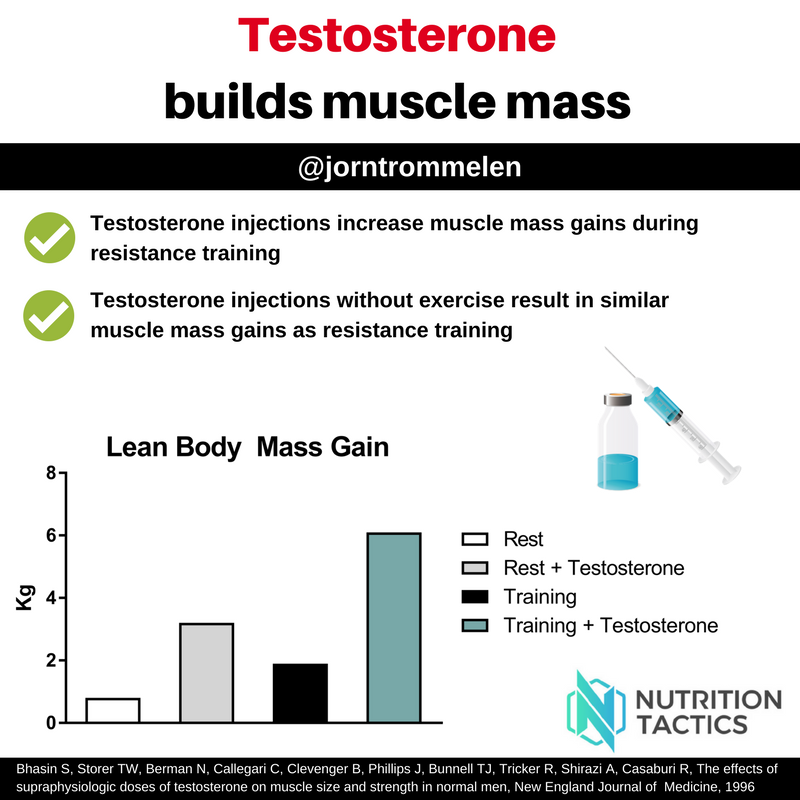 How does testosterone injection affect muscle growth? by Nutrition Tactics Medium