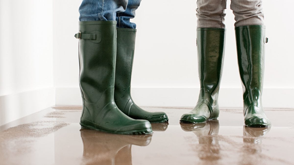 basement flood cleanup company in toronto