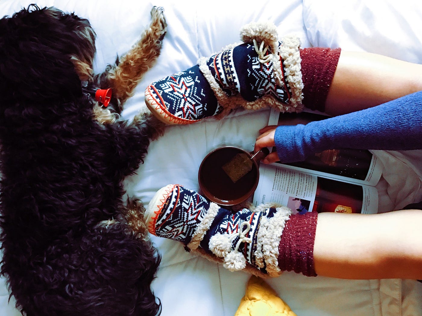 Cozy Up With Aimée’s Short Stories and Microfiction All in one easy to find place by Aimée Gramblin | Medium
