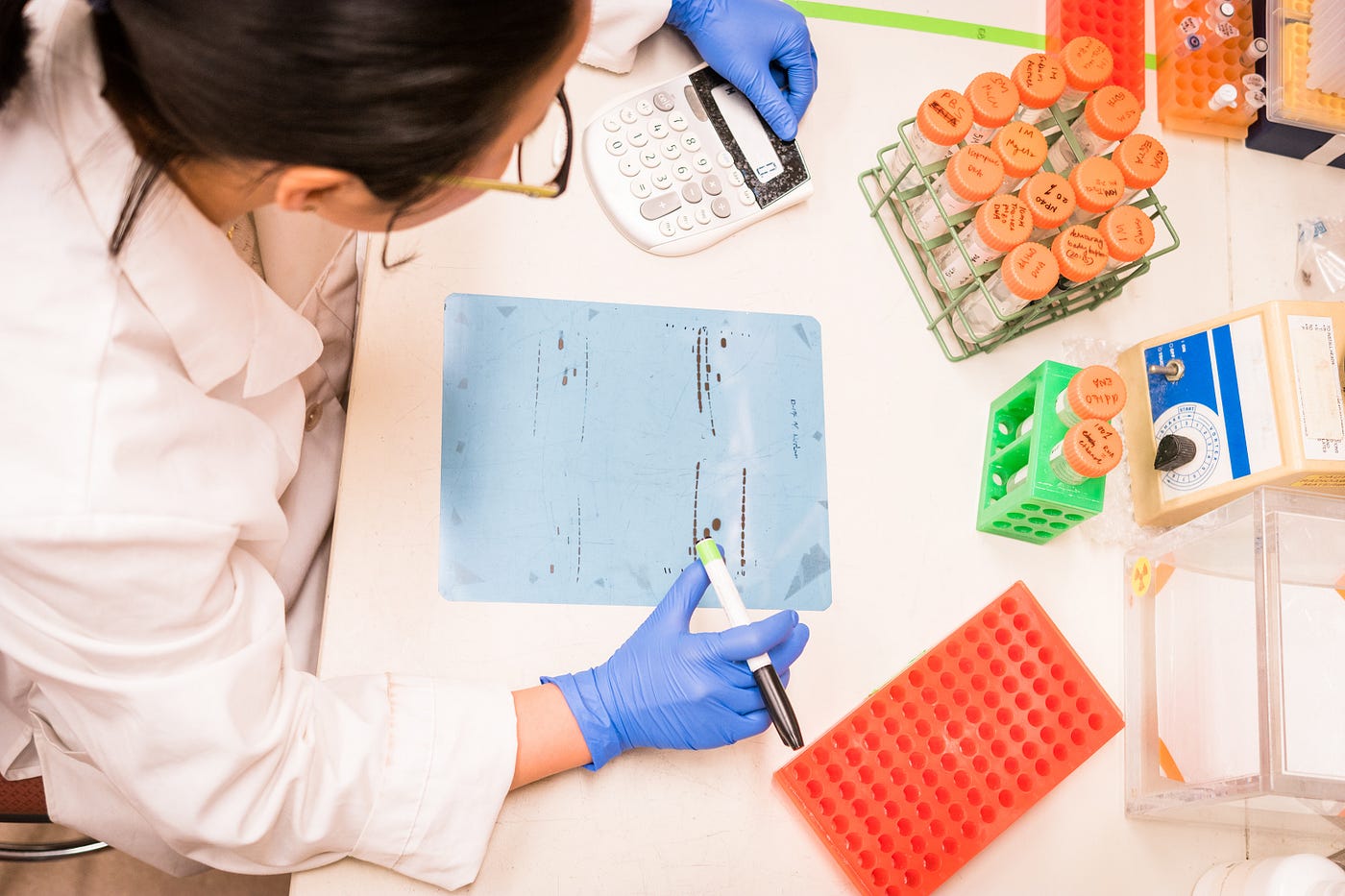 Hani Ebrahimi, PhD Medium