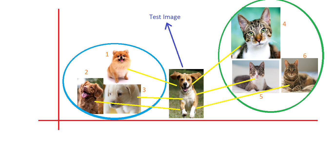 What is KNN algorithm in Machine Learning | by Akash Kola | Medium