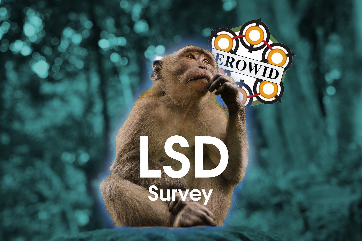 LSD erowid survey monkey thinking