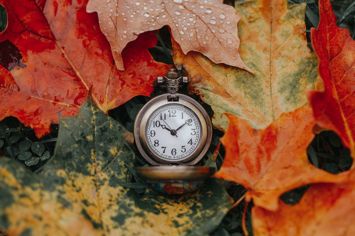 Picture of old pocket watch on leaves.