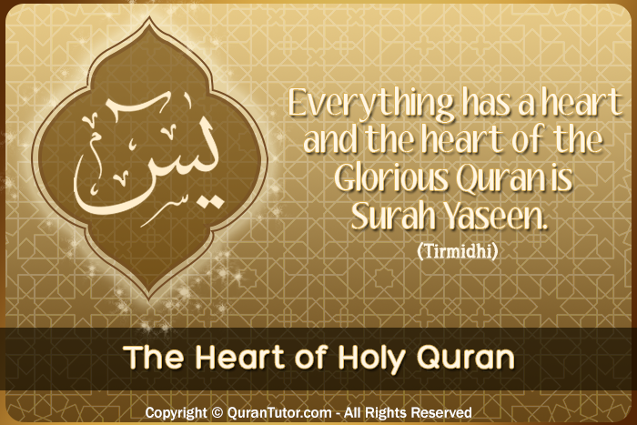 Al Quran Surah Yaseen Rowansroom