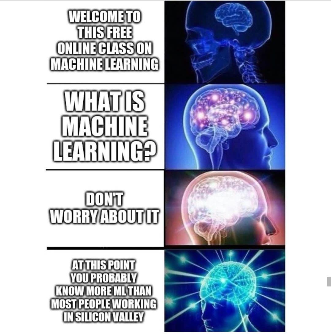 Understanding Machine Learning Through Memes By Harsh Aryan Nybles