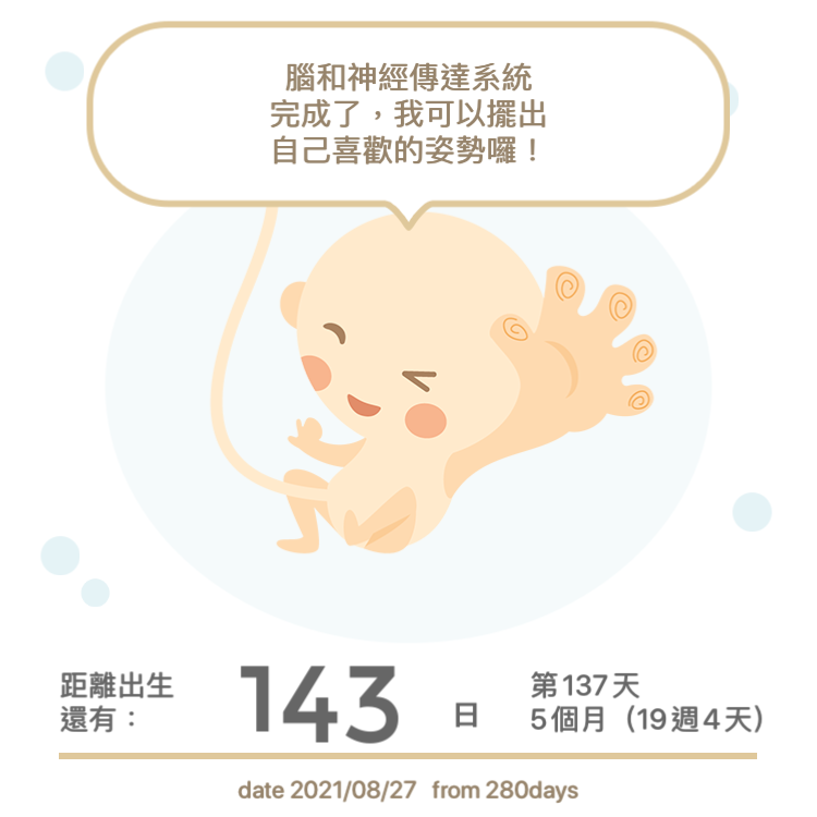 美國懷孕日記 第二孕期14 28 週的產檢 孕期推薦用品 內有折扣碼 及選擇坐月子的方式 By Tzu Chin Lee 工程師小夫妻 Medium