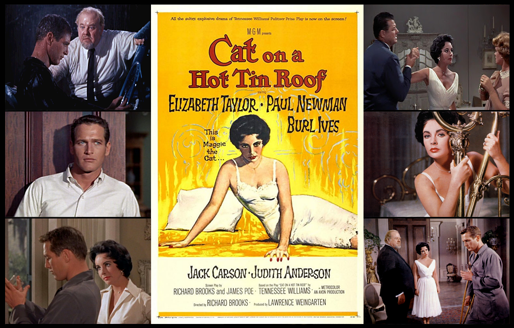 A FILM TO REMEMBER: “CAT ON A HOT TIN ROOF” (1958) | by Scott Anthony