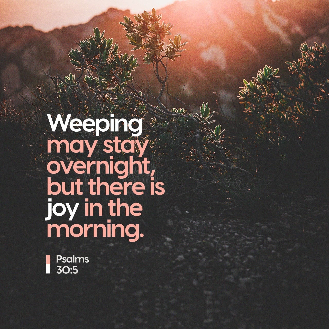 Weeping endures for the night but joy