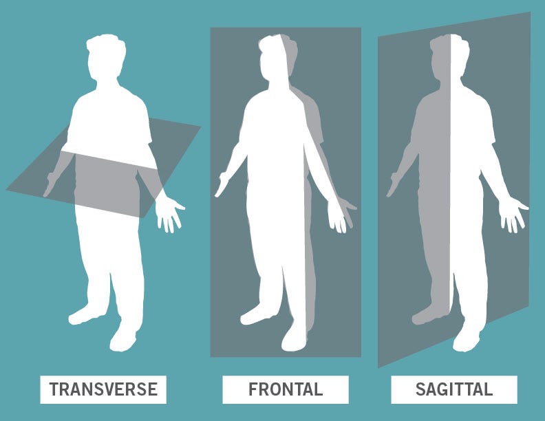The Planes Of Movement In Exercise And Rehabilitation By Tecnica Gavilan Medium