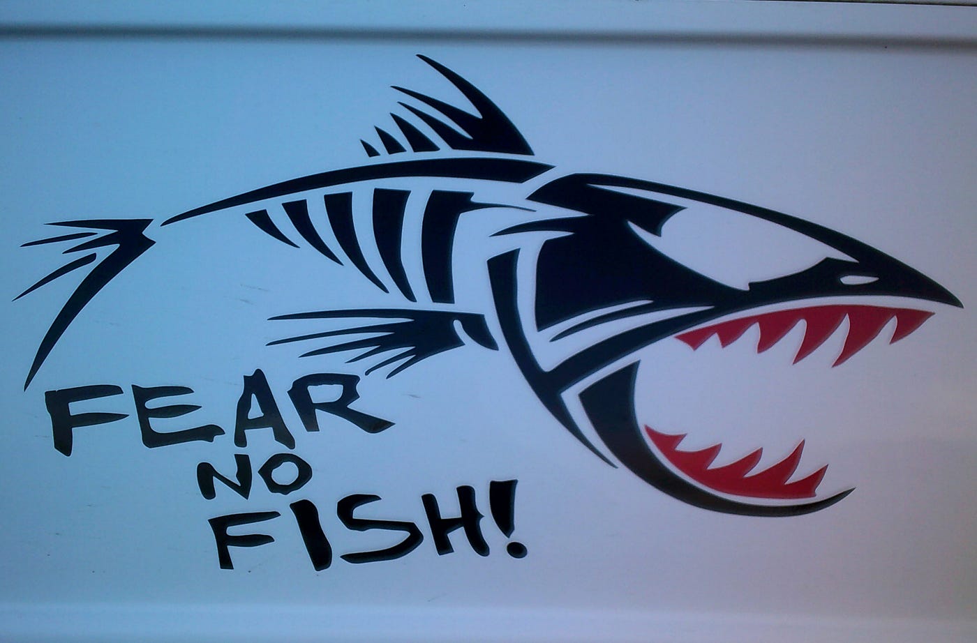 Image of a fish with it mouth open showing ferocious teeth painted on the side of a Ford Transit van with the words underneath it saying — “Fear No Fish!”