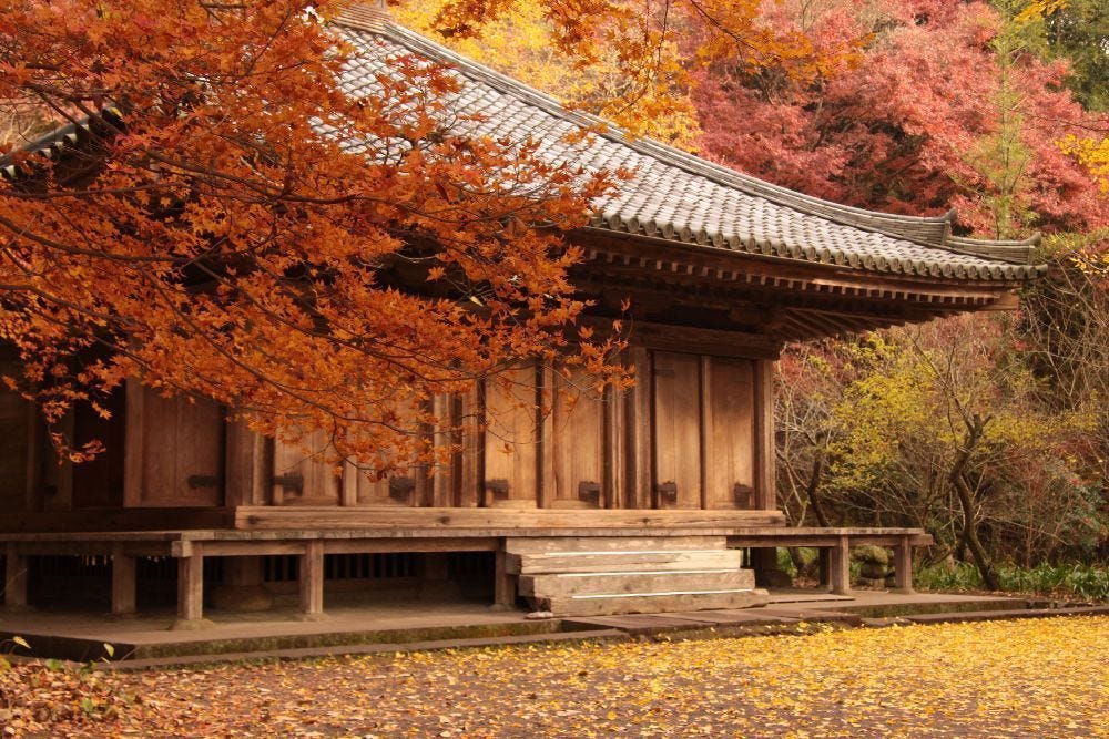 紅葉x 能劇 紅葉為誰演 第八狩 解構九州紅葉賞地兼預想滿開日 By 是日太郎 是日日本 Medium 紅葉x 能劇 紅葉為誰演 第八狩 解構九州紅葉賞地兼預想滿開日 By 是日太郎 是日日本 Medium