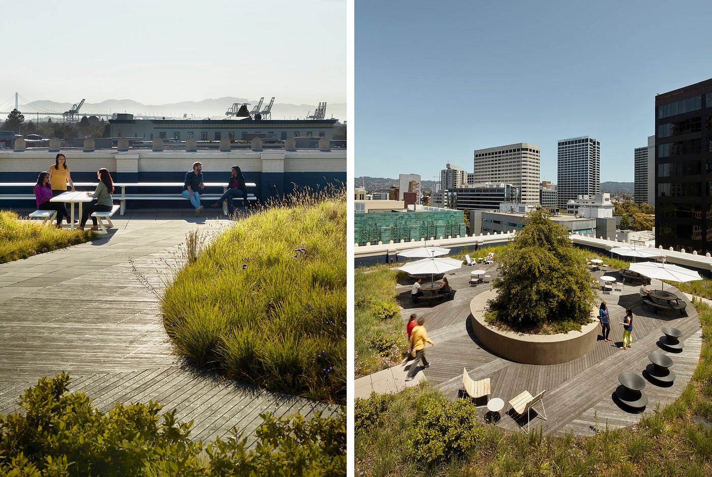 Outdoor terraces features views of the city, hills, and bay.