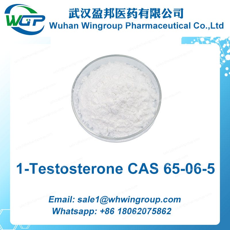Understanding how testosterone affects men by wingroup jeissy medium