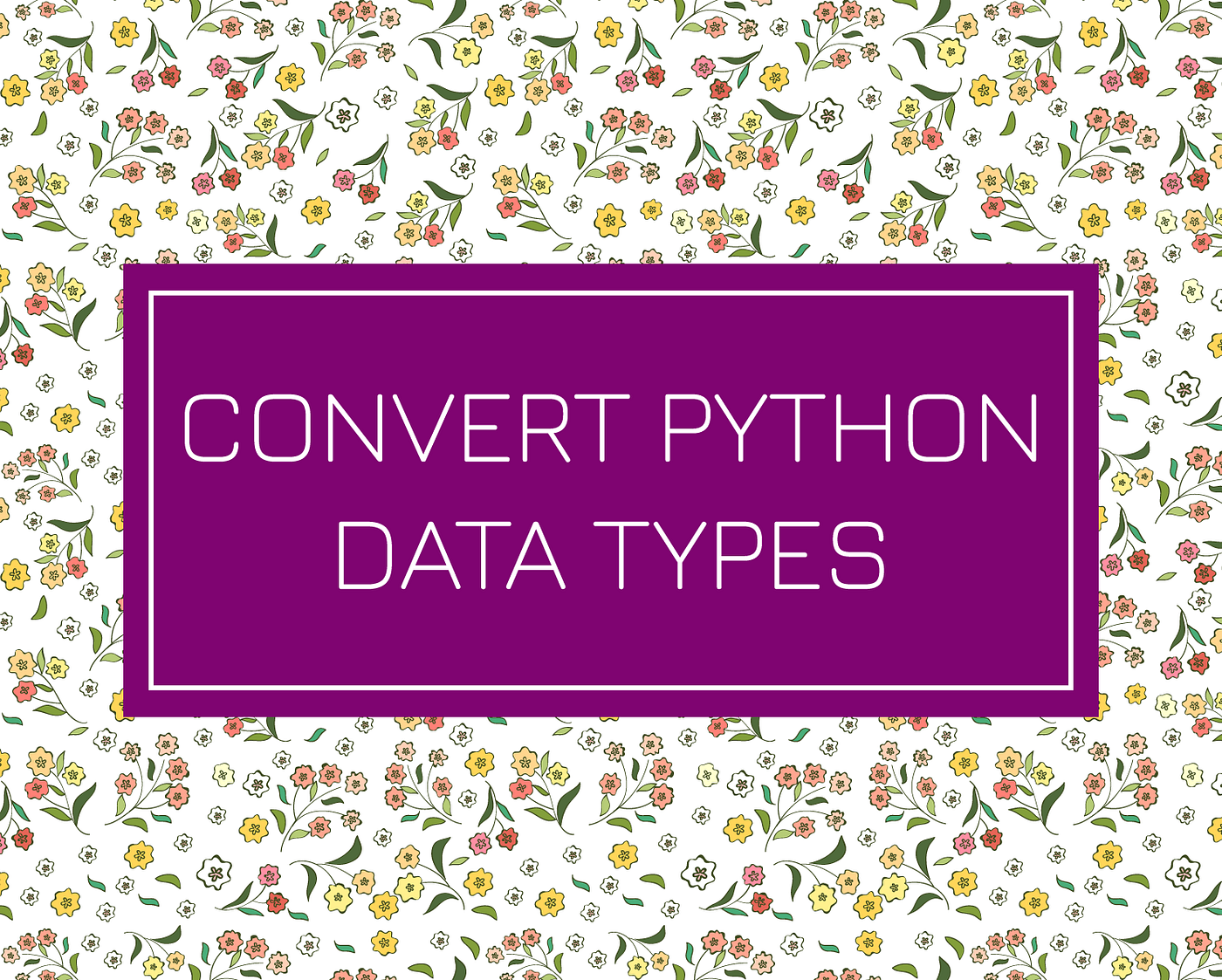How to Convert Python Data Types. A beginner's guide on how to Python… | by  Fuzzy | Python in Plain English