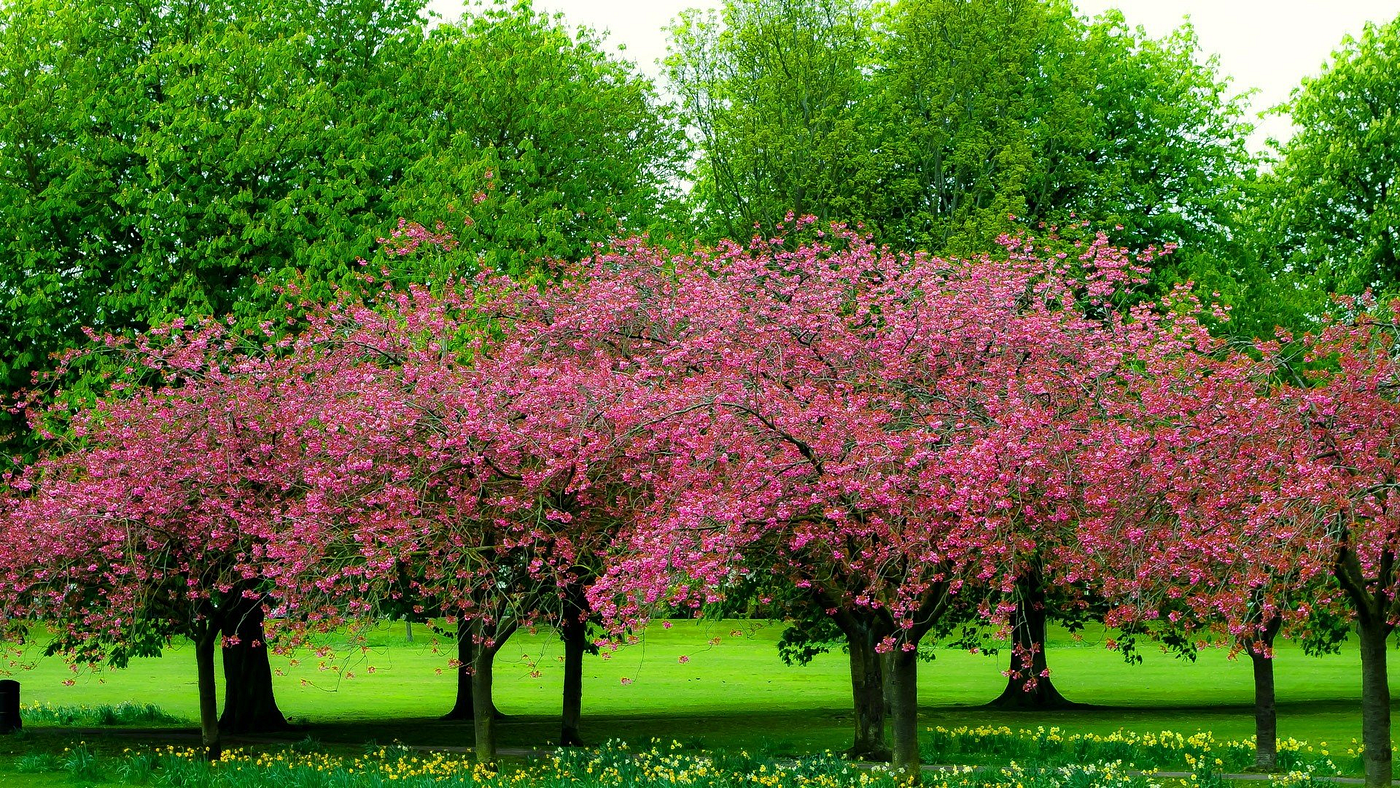 Database Relationships In Spring Data JPA | by tolunaykatirci | Huawei  Developers | Medium
