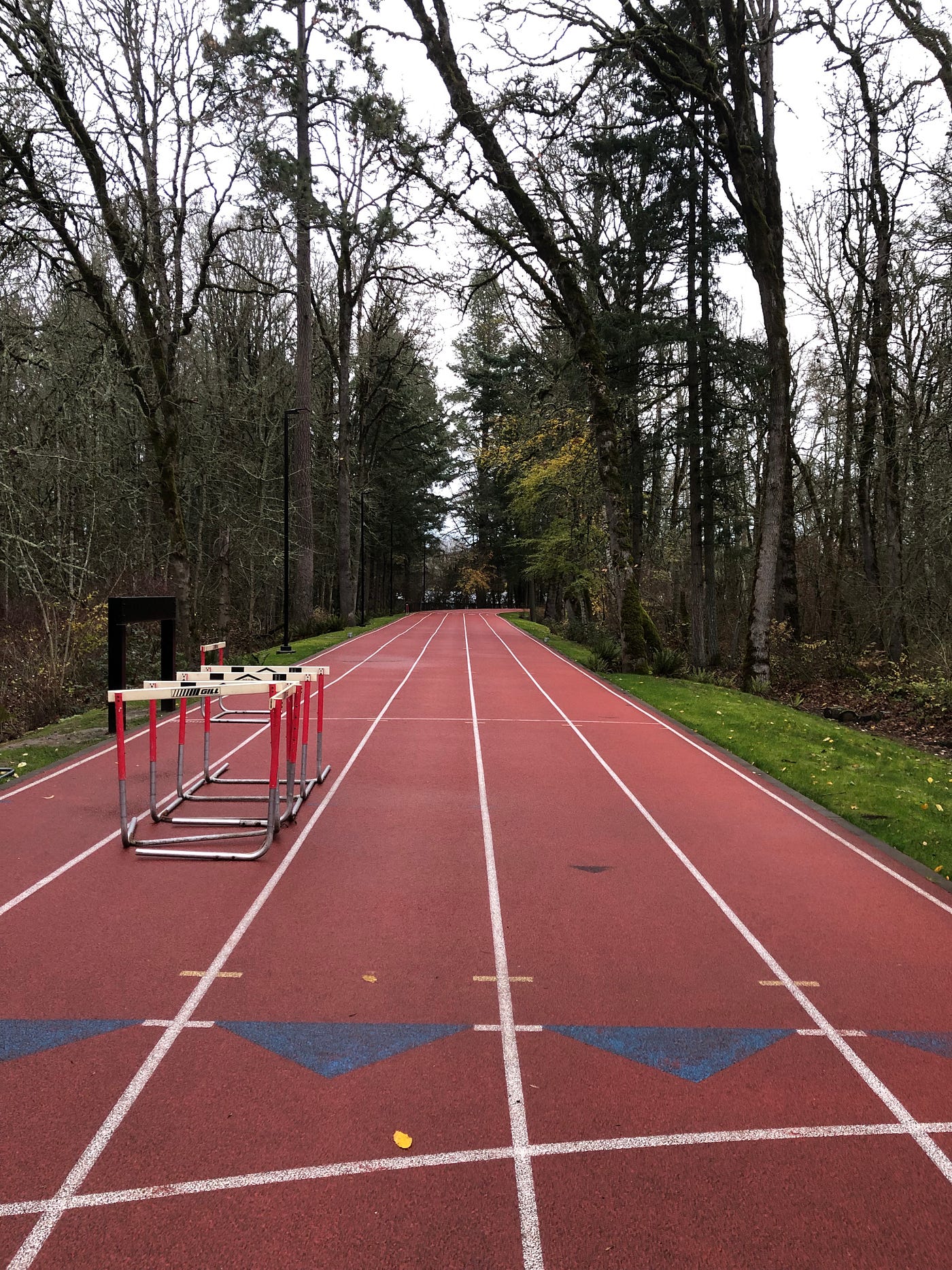 What it's like Being a Runner in Oregon | by Anna Martinez | Runner's Life  | Medium