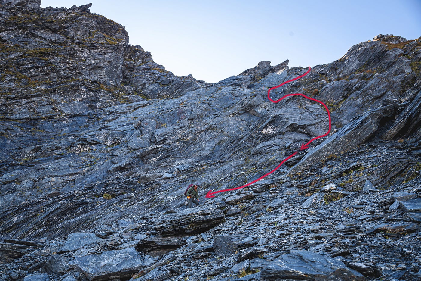 A different kind of Easter Bunny Rabbit Pass by Sam Harrison Medium