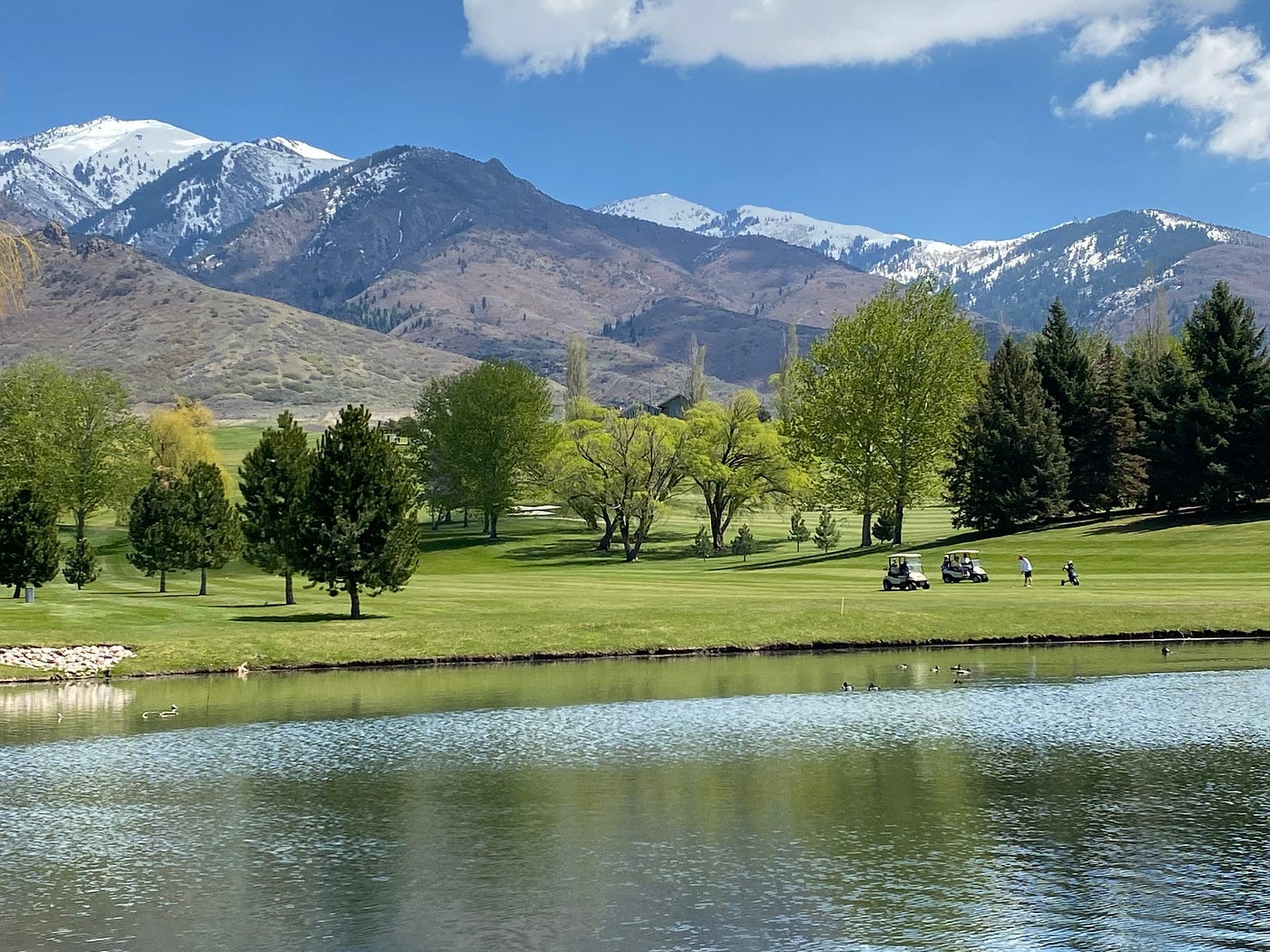Golfing Is Back In Full Force The Weather Is Turning Warmer By Floyd Mori Living Out Loud Medium