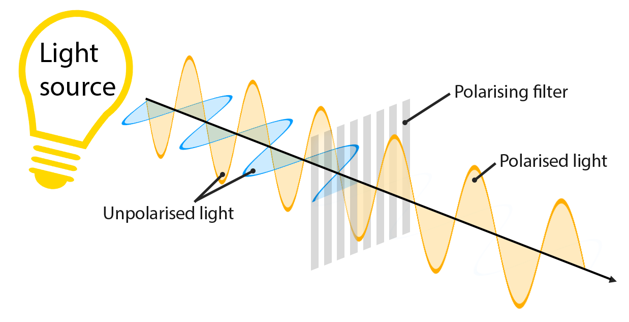 How Do 3D Glasses Work?. Learn how a simple pair of glasses… by Kevin