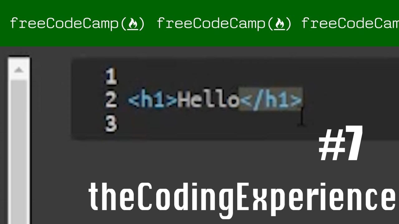 Experience in Free Code Camp. By building a robust and highly… | by ...