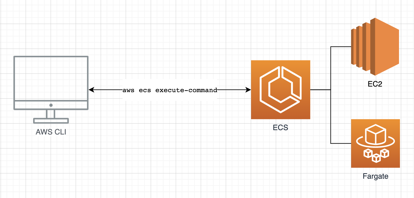 Execute commands in ECS Fargate/EC2 Docker Containers.