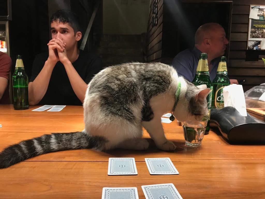 MEMO: The Best Card Game for Travelers | by Nick Robinson | Medium