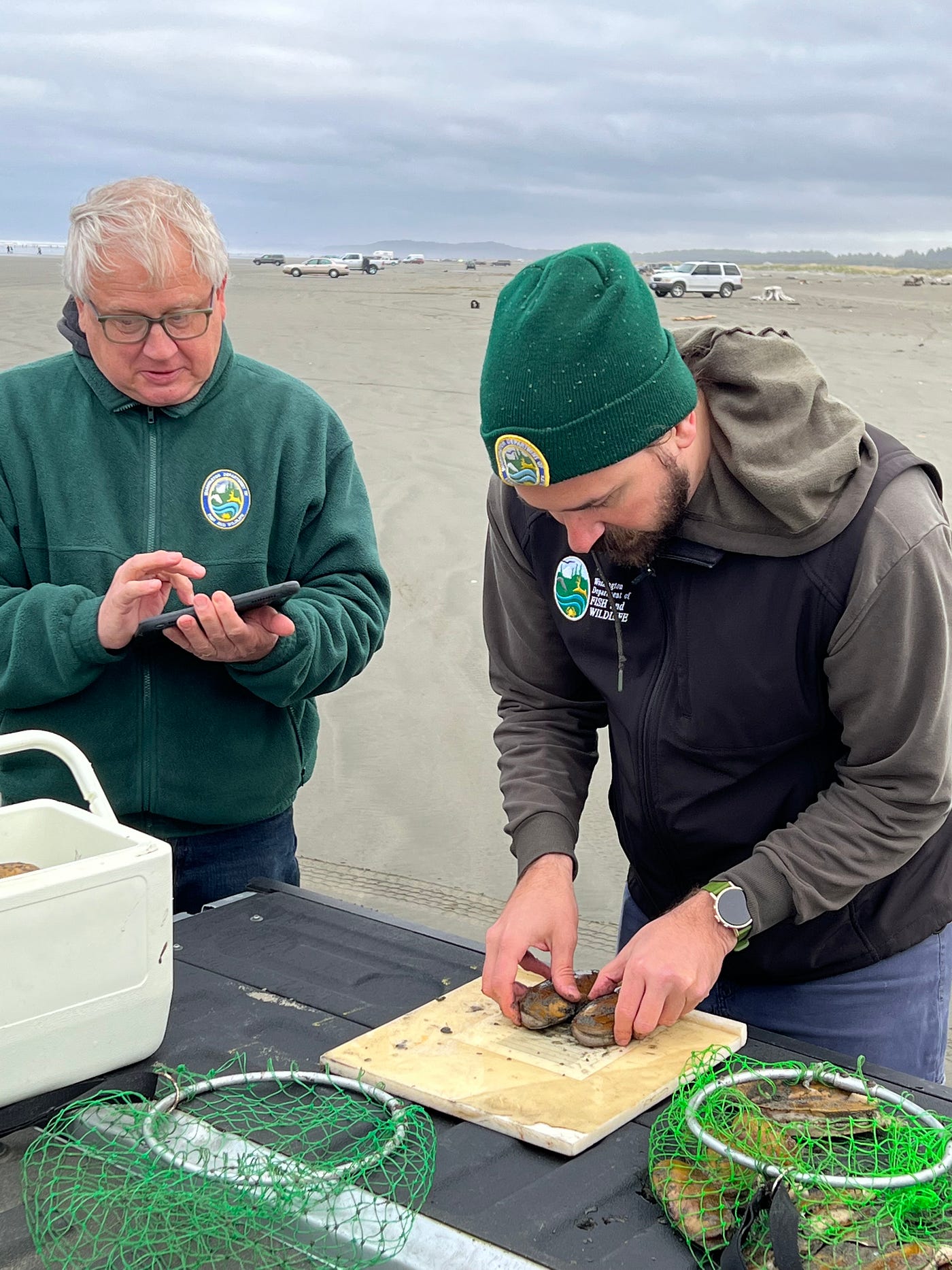 Memorable razor clam digging season wraps up with a record harvest by