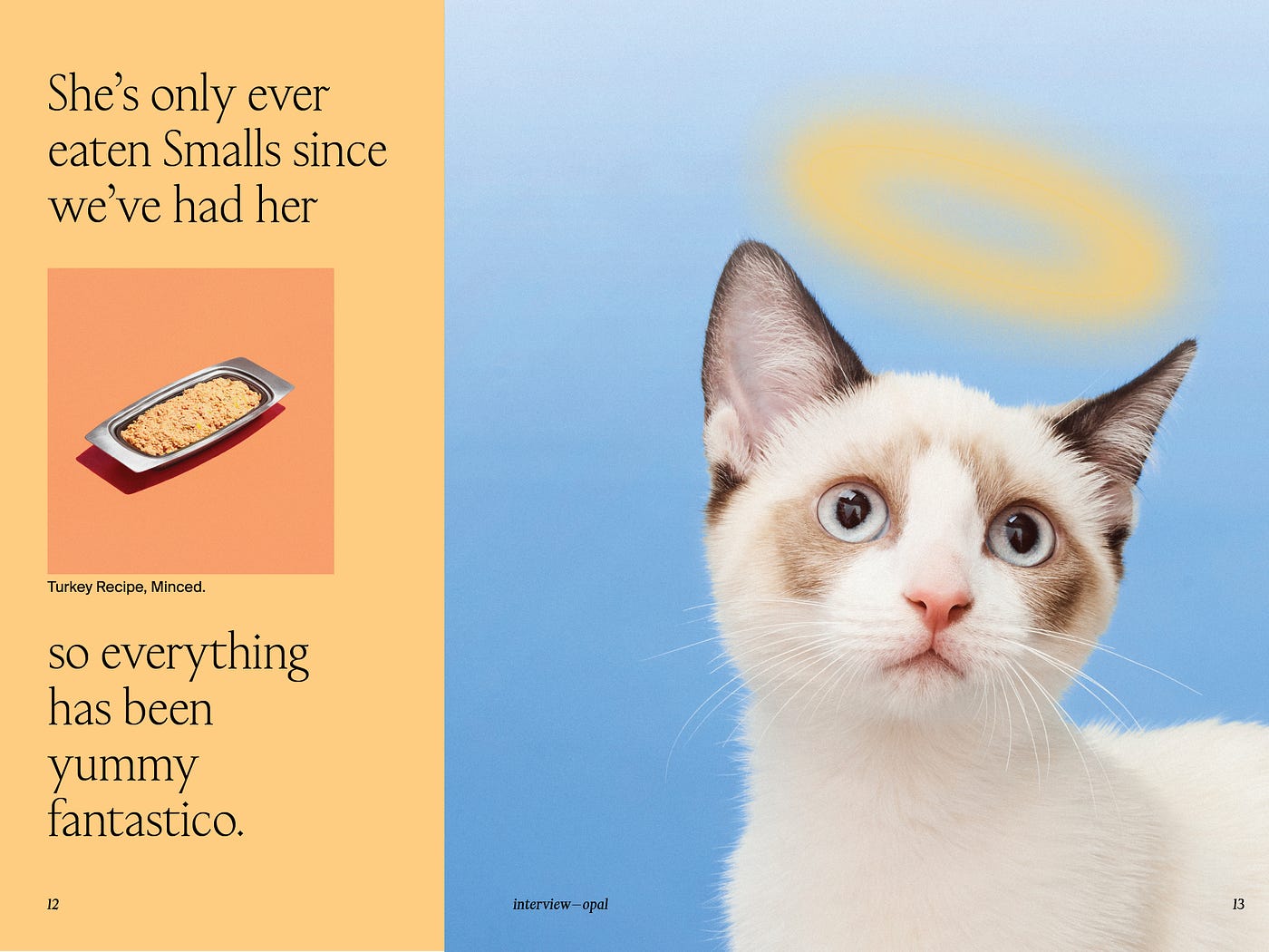 Exploring Visual Brand Identity What Does A “Cat Person” Look Like