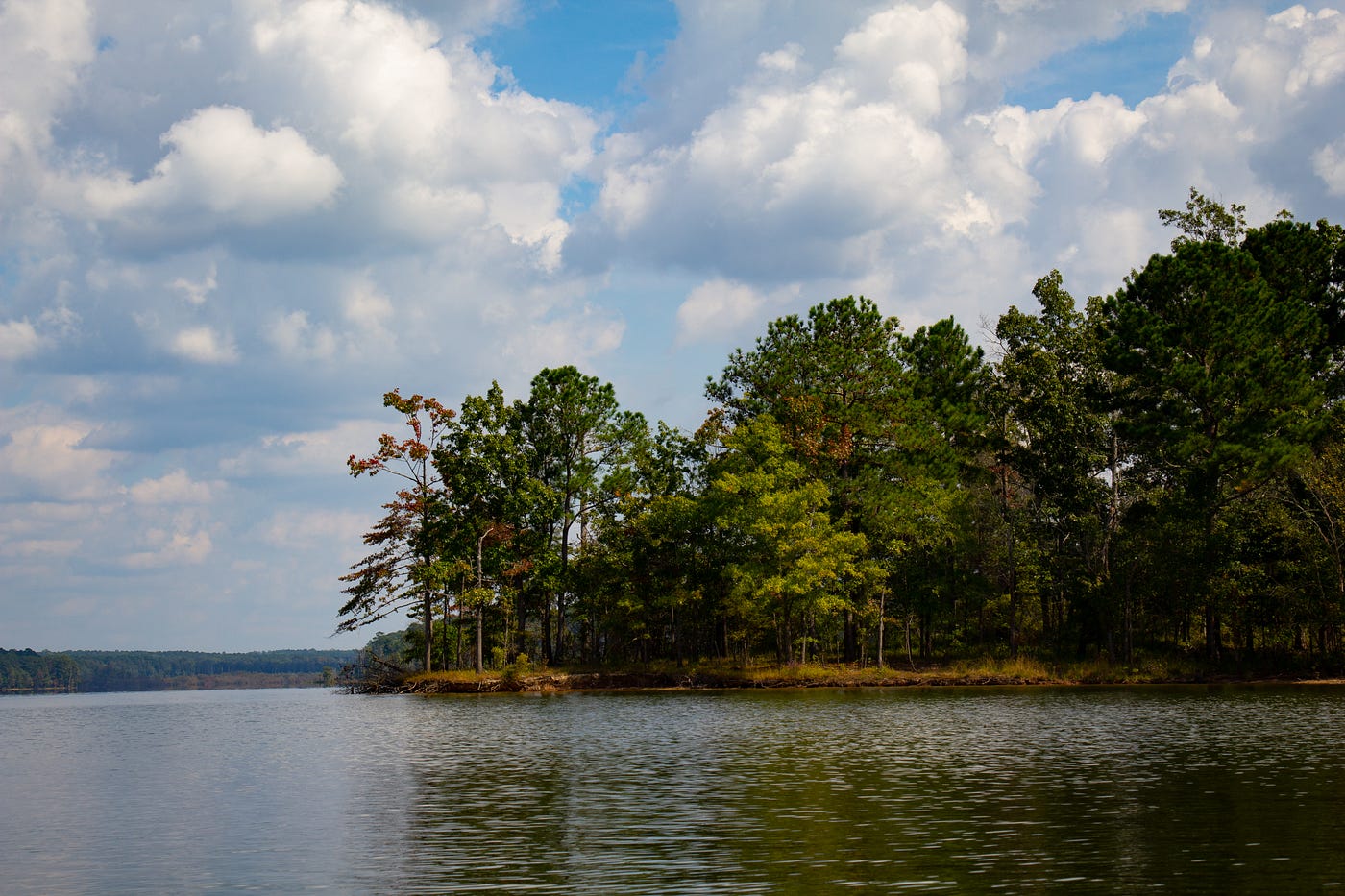 The banks of Jordan Lake in the distance, with green trees and more large, white clouds across the sky.