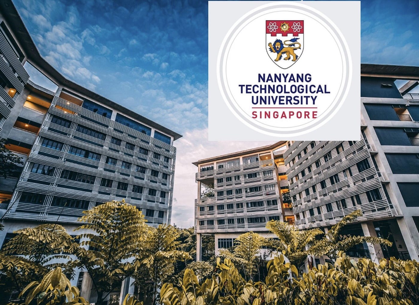 Complete Guideline for International Student: NTU Undergraduate Application  | by Dzakwan Hoesien | Medium